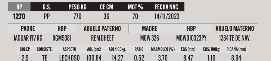 Lote LOTE 6