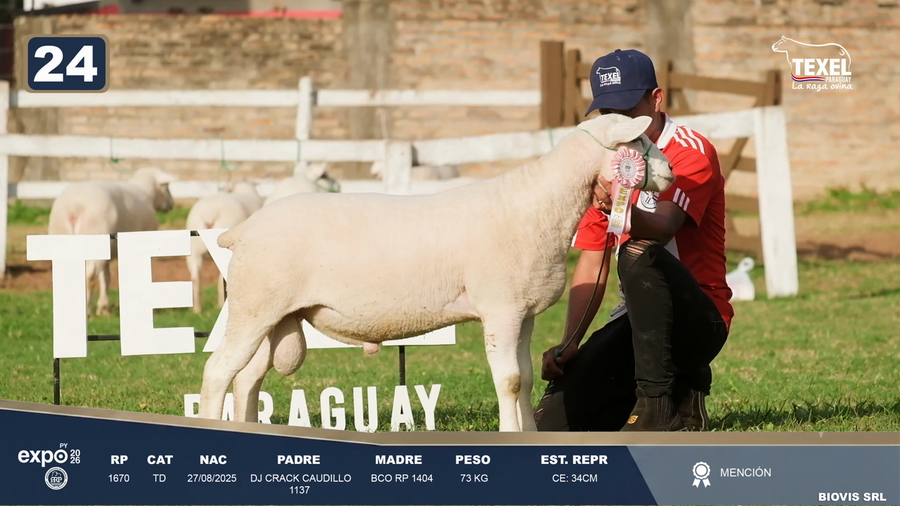 Lote LOTE 24