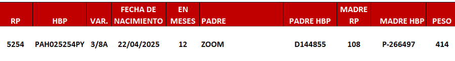 Lote LOTE 16 -DE JUNIOR