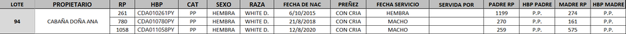 Lote LOTE 94