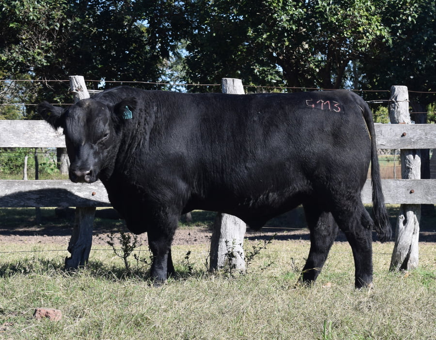 Lote CABAÑA “COEMBOTÁ” de Calderón RP 113