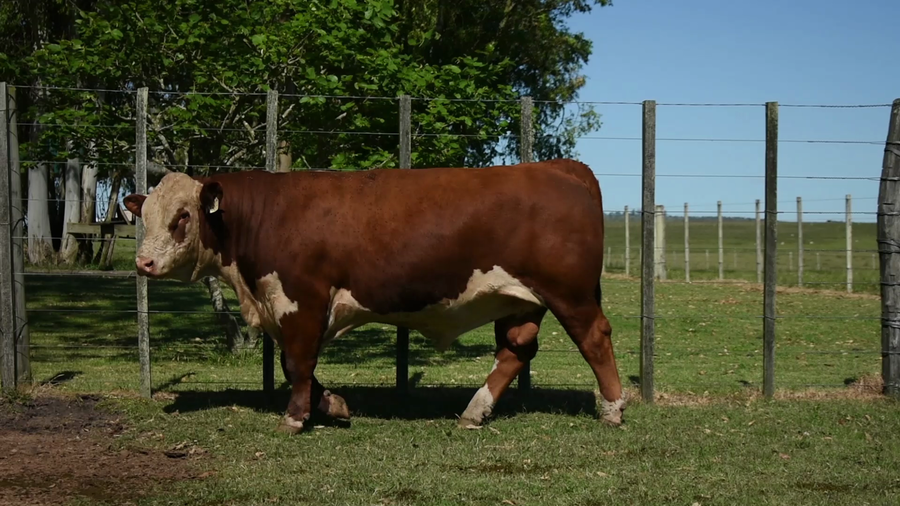 Lote "Valle Del Laurel" , RP 417