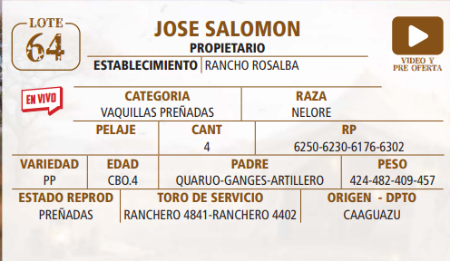 Lote LOTE 64 -EN VIVO