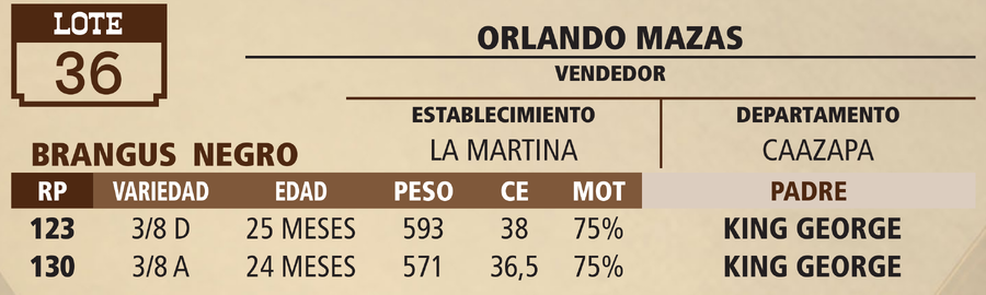 Lote LOTE 36 - VIVO