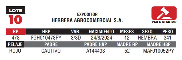 Lote LOTE 10 - JUNIOR