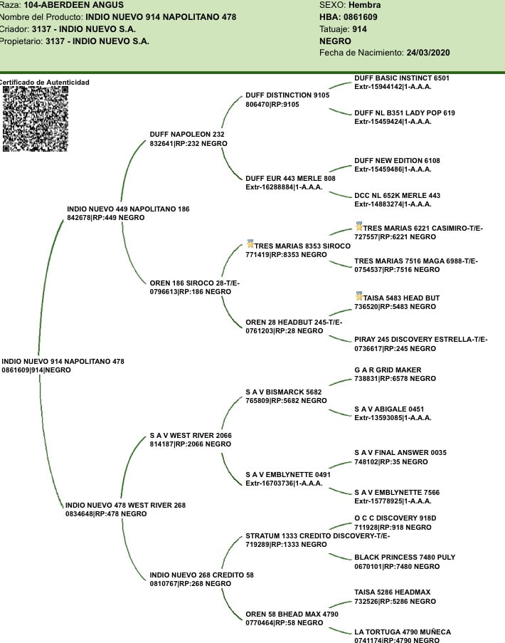 Lote VAQUILLONAS CON CRIA SANTA ROSA