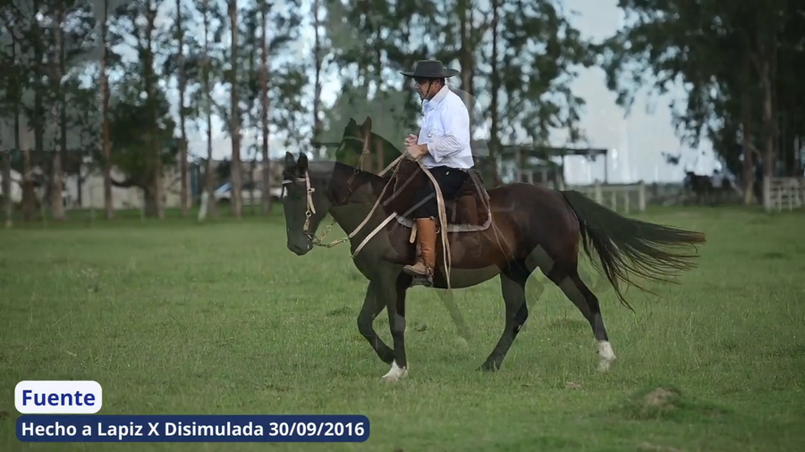 Lote Fuente
