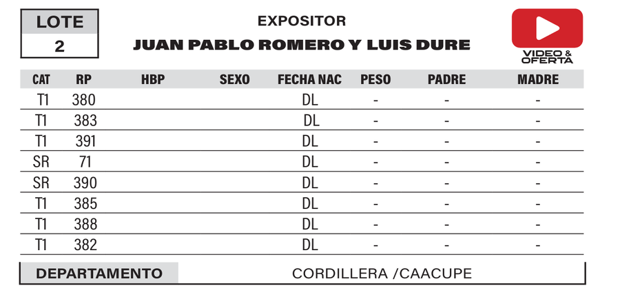 Lote LOTE 2- POR PANTALLA