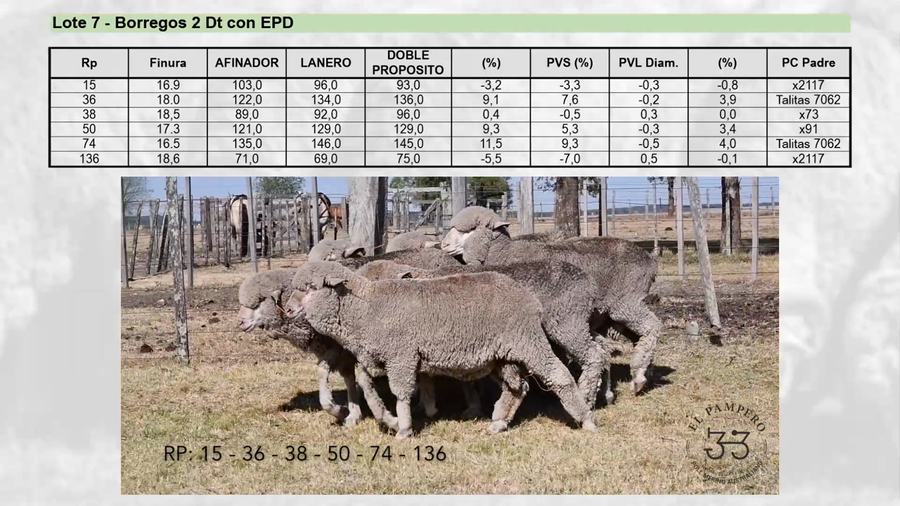 Lote Lote 7 - EL PAMPERO