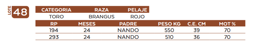 Lote LOTE 48