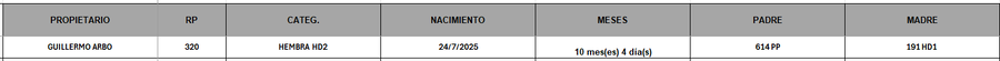 Lote LOTE 10