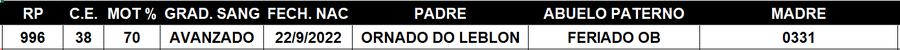 Lote LOTE 2