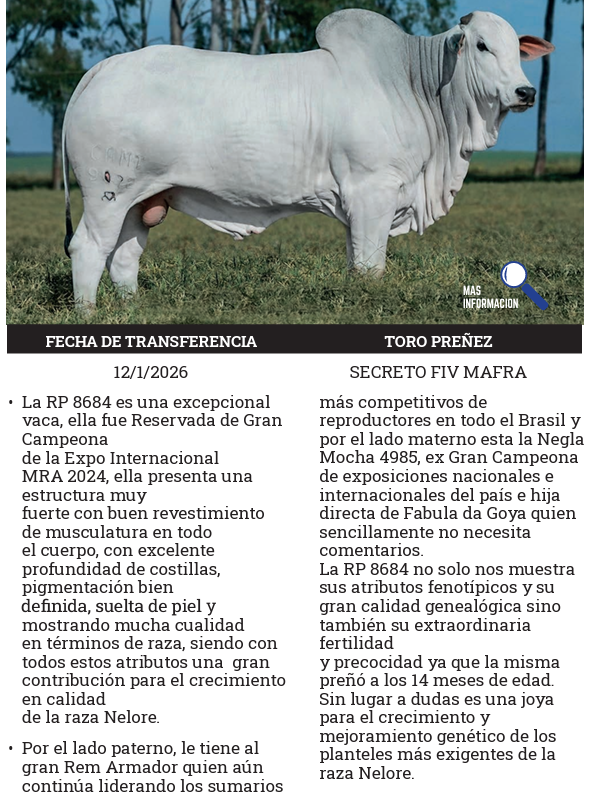 Lote LOTE 4 - PREÑECES