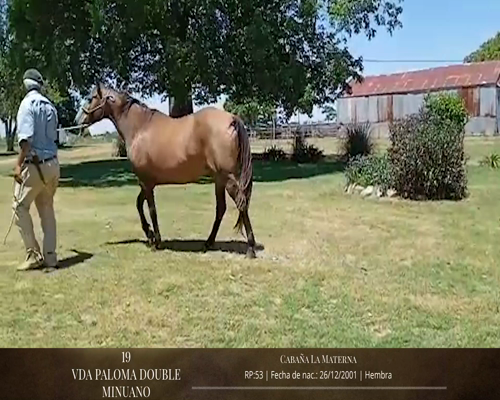 Lote Caballos a remate en 2da ESTA NOCHE BAYA, San José