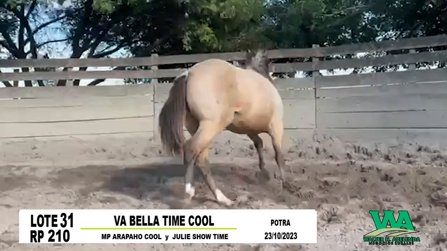 Lote VA BELLA TIME COOL