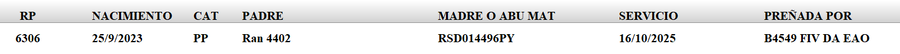 Lote LOTE 4