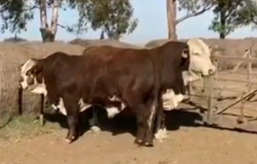 Lote CABAÑA EL MATE