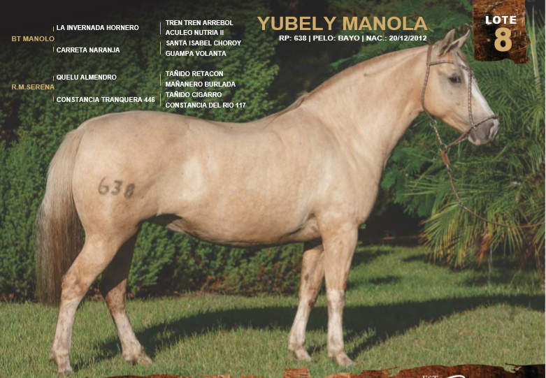 Lote YUBELY MANOLA