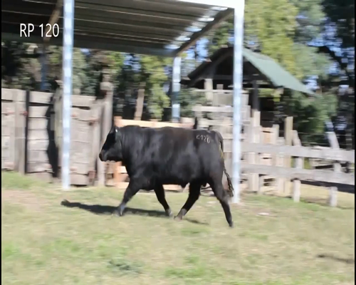 Lote CABAÑA “COEMBOTÁ” de Calderón RP 120