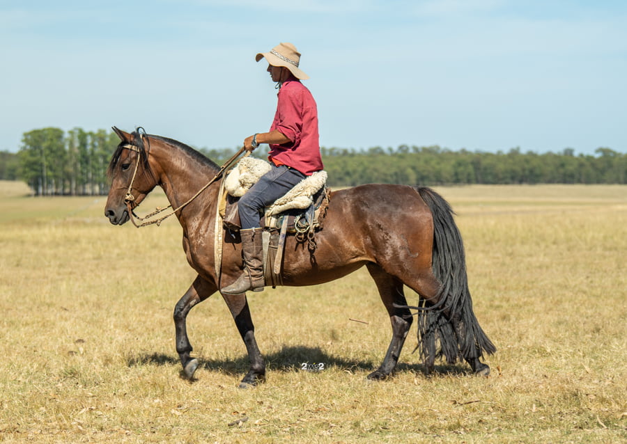 Lote INCHALÁ INTRUSA
