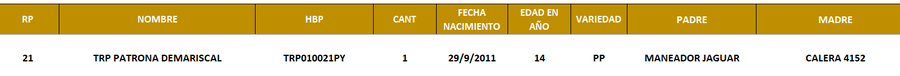 Lote LOTE 11