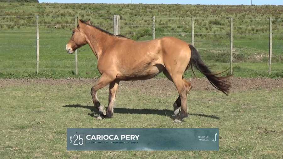 Lote Yeguarizos a remate en Criollos, Montevideo