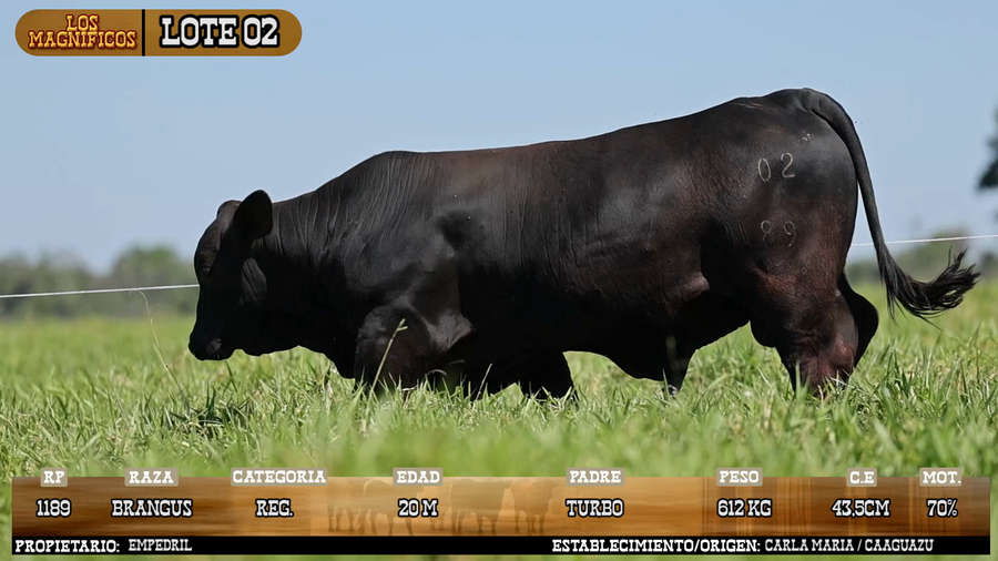 Lote LOTE 2 - PANTALLA