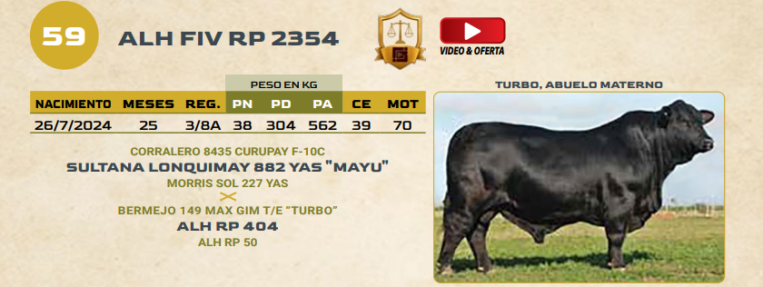 Lote LOTE 59