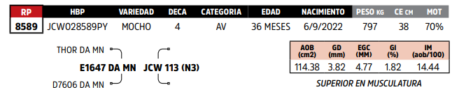 Lote LOTE 17