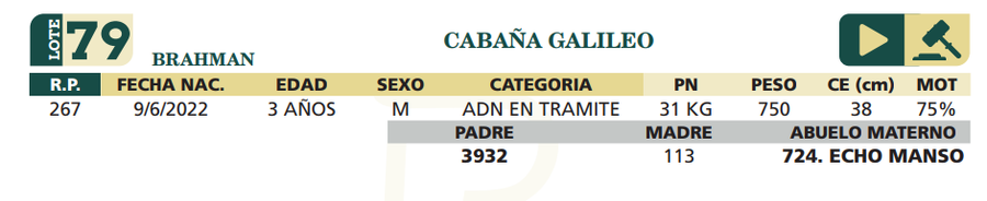 Lote LOTE 79