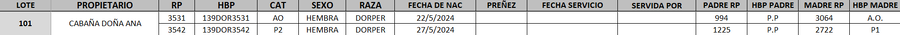 Lote LOTE 101