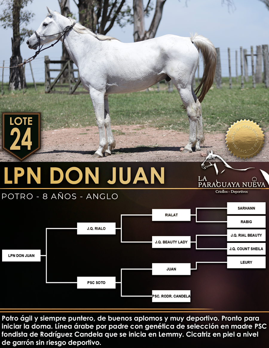 Lote LPN DON JUAN