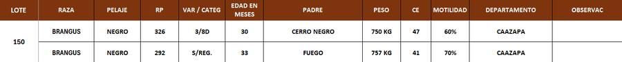 Lote LOTE 150