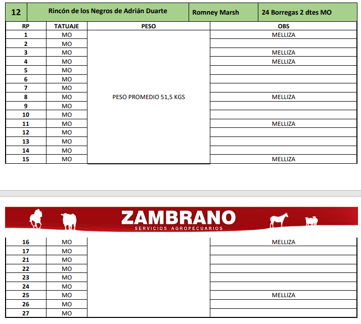 Lote 24 borregas 2 dtes MO