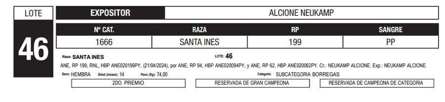Lote LOTE 46