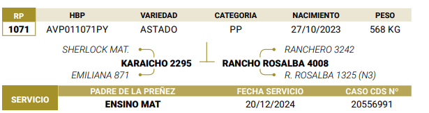 Lote LOTE 58