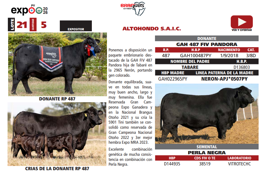 Lote LOTE 21