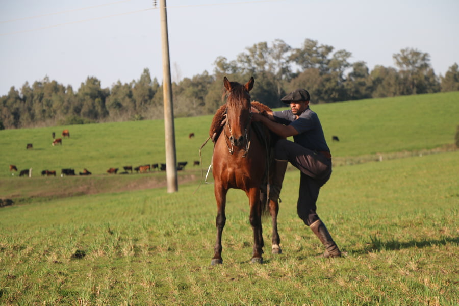 Lote ESCONDIDA DEL CONVENTOS