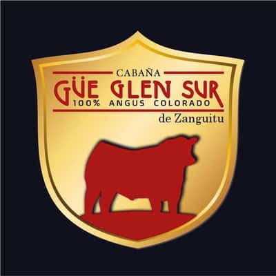 Lote TOROS PUROS CONTROLADOS