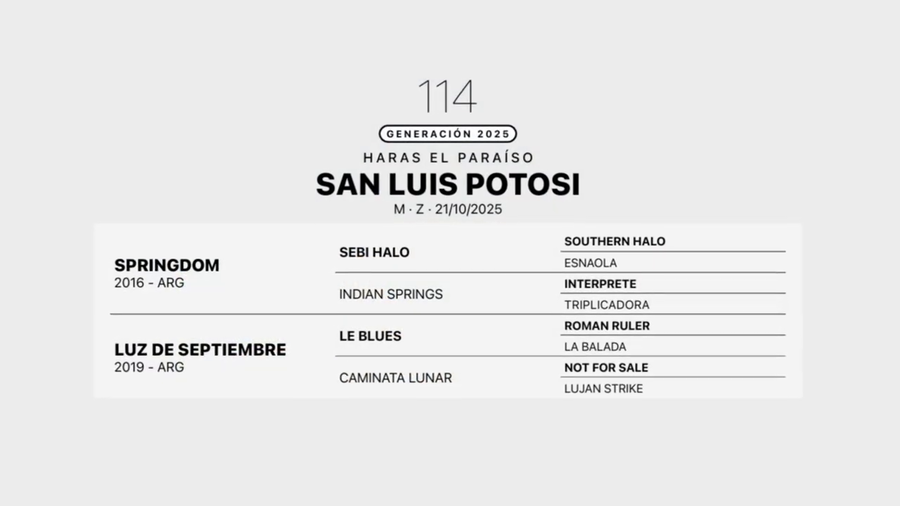 Lote SAN LUIS POTOSI