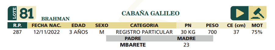 Lote LOTE 81