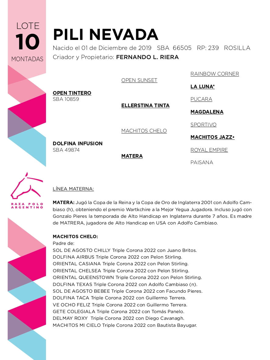 Lote PILI NEVADA (OPEN TINTERO -  DOLFINA INFUSION)