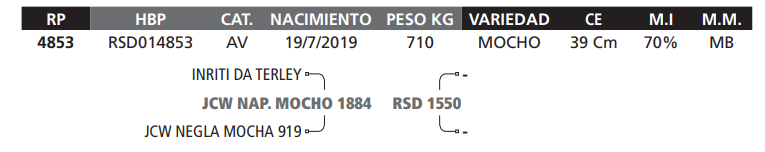 Lote LOTE 31
