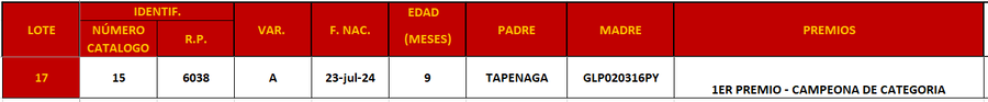 Lote LOTE 17