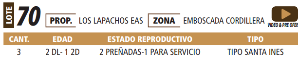 Lote LOTE 70 -POR PANTALLA