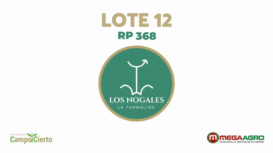 Lote LOS NOGALES