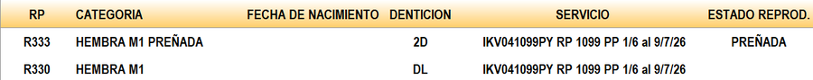 Lote LOTE 24