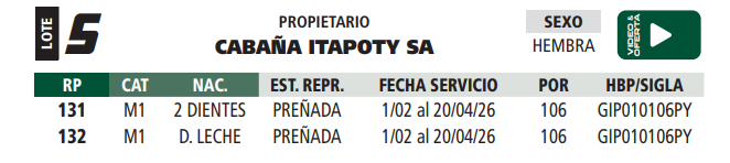 Lote LOTE 5