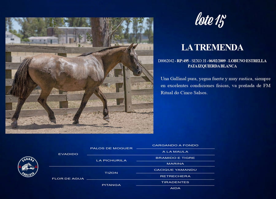 Lote La Tremenda