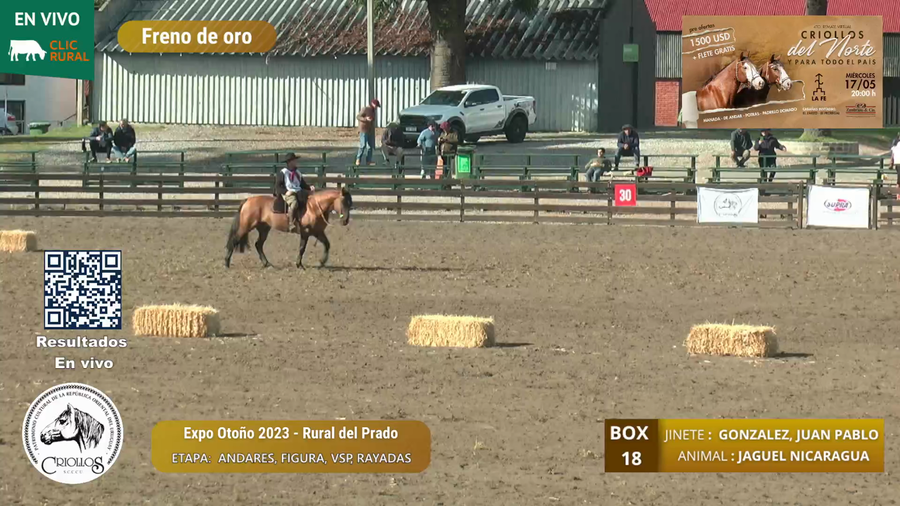 Lote LEON BAYO CALA BASSA - PARCERIA SANTA LEODORA